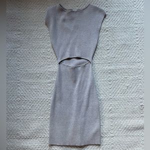 Wilfred Free Bodycon Dress - Aritzia